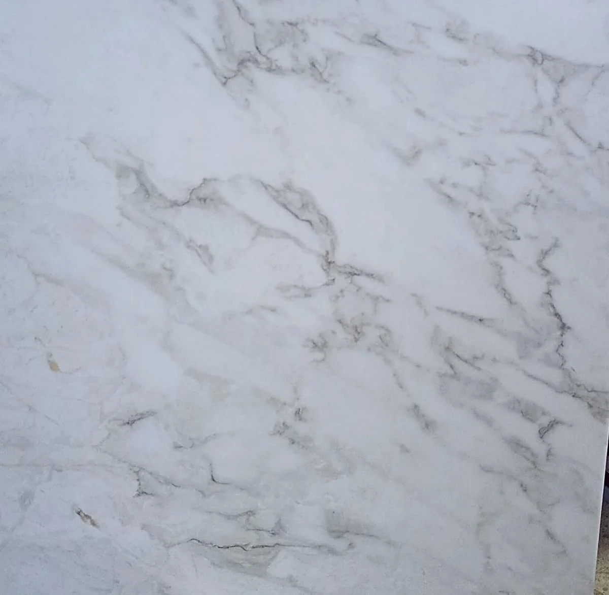 Marblis Blanco Antiguo · 60.5 × 60.5 cm