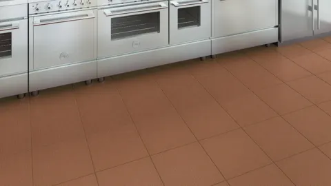 Alpha